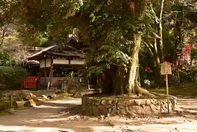 賀茂別雷神社（上賀茂神社）(京都府)