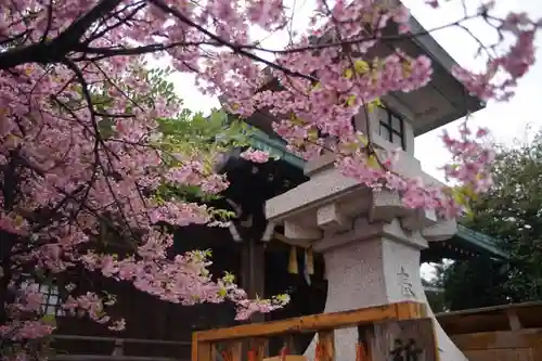 新宿下落合氷川神社の自然