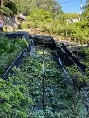 大滝神社(山梨県)