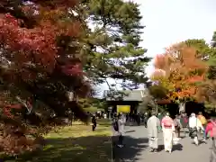 明治神宮(東京都)