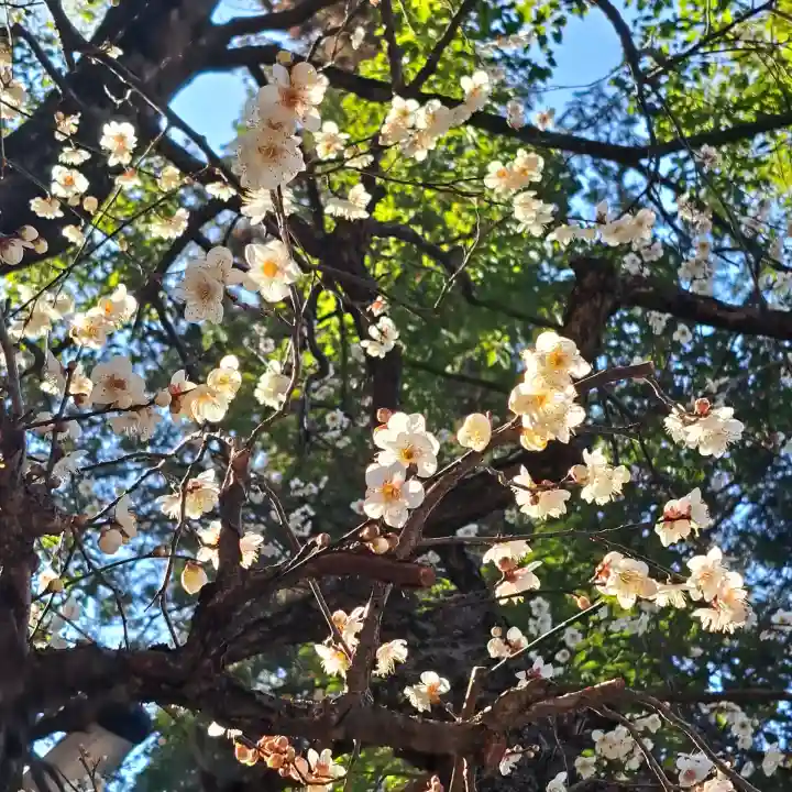 円覚寺の{uncategorized: "未分類", other: "その他", undefined: "問題あり", building: "その他建物", grave: "お墓", sacred_gate: "鳥居", guardian: "狛犬", statue: "像", buddha: "仏像", history: "歴史", nature: "自然", garden: "庭園", animal: "動物", pagoda: "塔", temizu: "手水舎", mountain_gate: "山門・神門", sanctuary: "本殿・本堂", subordinate: "末社・摂社", art: "芸術", scenery: "景色", jizo: "地蔵", ema: "絵馬", goshuin: "御朱印", omikuji: "おみくじ", items: "授与品その他", amulet: "お守り", goshuincho: "御朱印帳", eats: "食事", festival: "お祭り", votive_dance: "神楽", shichigosan: "七五三参", wedding: "結婚式", experience: "体験その他", initially: "初詣", around: "周辺", anti_infection: "感染症対策"}