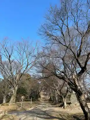 新田神社(群馬県)