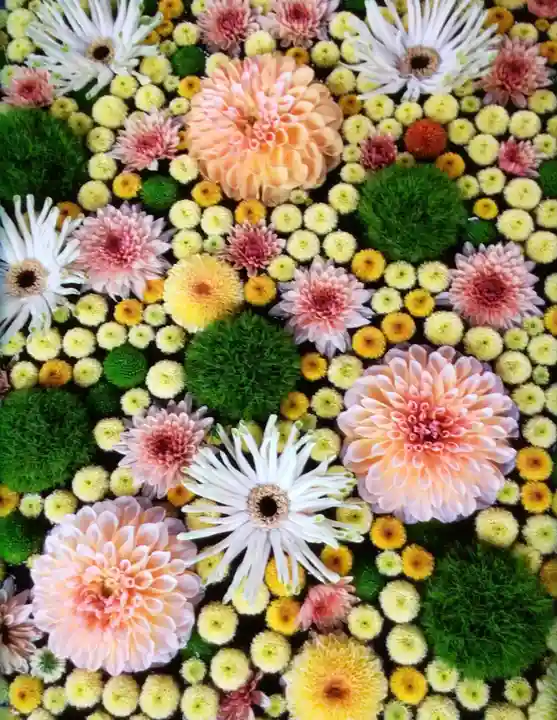 高円寺氷川神社(東京都)