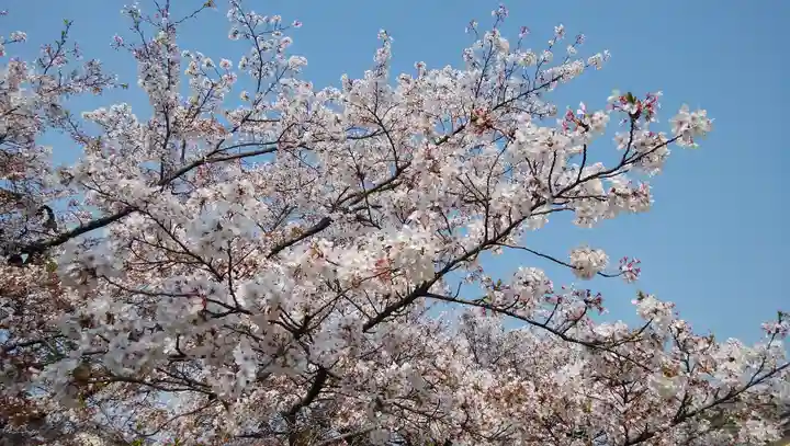 橋寺 放生院の自然
