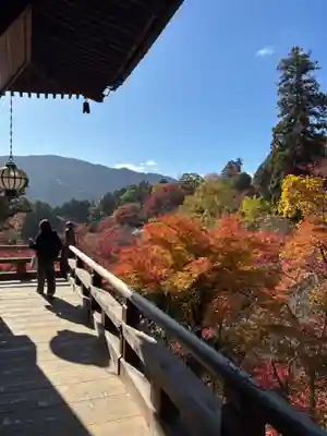 長谷寺(奈良県)