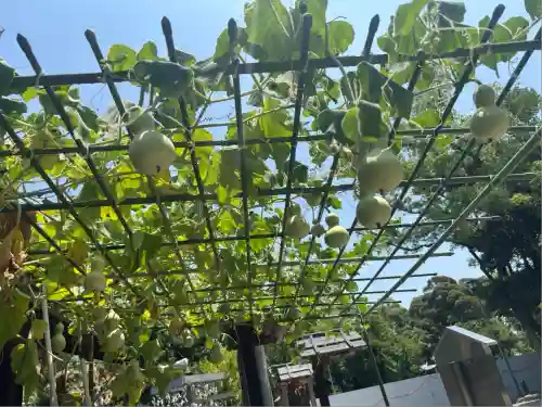 豊國神社(愛知県)
