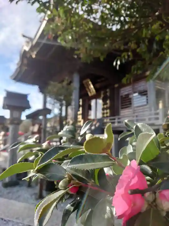 叶神社 (西叶神社)(神奈川県)
