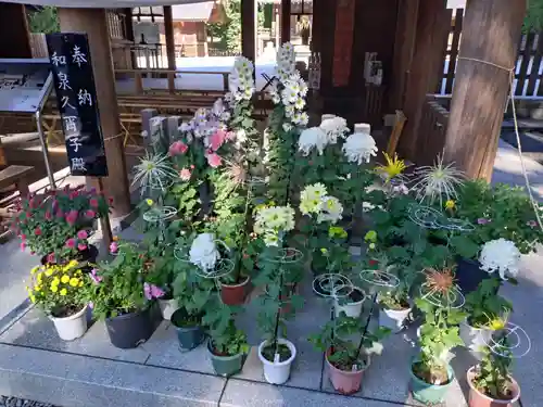 阿佐ヶ谷神明宮(東京都)