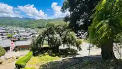 小讃岐神社(福井県)