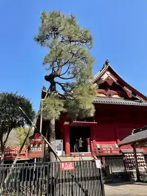 清水観音堂(東京都)