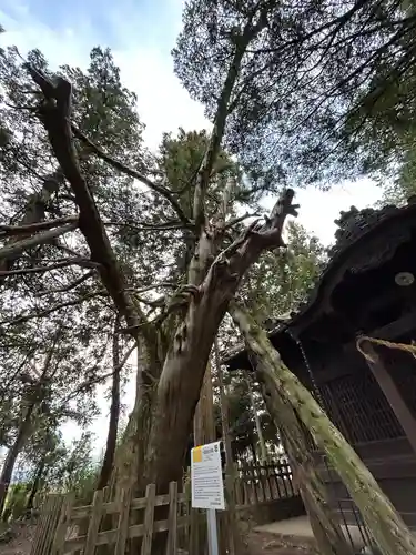 小俣諏訪社(長野県)