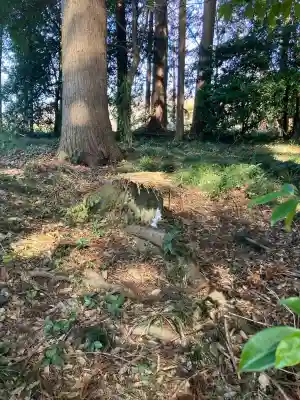 飯渕香取神社の{uncategorized: "未分類", other: "その他", undefined: "問題あり", building: "その他建物", grave: "お墓", sacred_gate: "鳥居", guardian: "狛犬", statue: "像", buddha: "仏像", history: "歴史", nature: "自然", garden: "庭園", animal: "動物", pagoda: "塔", temizu: "手水舎", mountain_gate: "山門・神門", sanctuary: "本殿・本堂", subordinate: "末社・摂社", art: "芸術", scenery: "景色", jizo: "地蔵", ema: "絵馬", goshuin: "御朱印", omikuji: "おみくじ", items: "授与品その他", amulet: "お守り", goshuincho: "御朱印帳", eats: "食事", festival: "お祭り", votive_dance: "神楽", shichigosan: "七五三参", wedding: "結婚式", experience: "体験その他", initially: "初詣", around: "周辺", anti_infection: "感染症対策"}