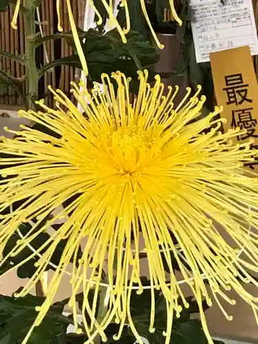 笠間稲荷神社の自然