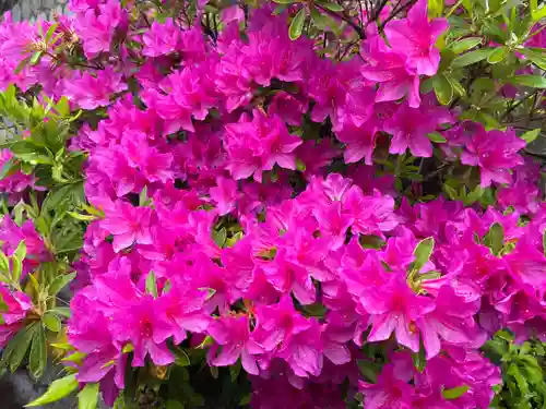 岐阜稲荷山本社(岐阜県)