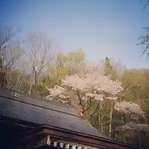 壽徳寺 じゅとくじのその他建物(2021年05月05日(水) 08時38分49秒投稿)