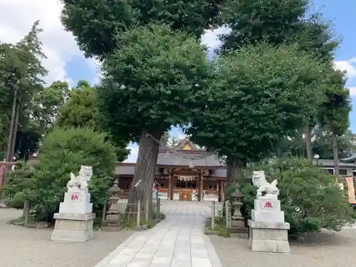 亀ケ池八幡宮の狛犬