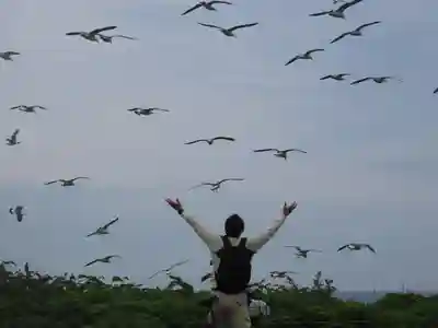 厳島神社(北海道)