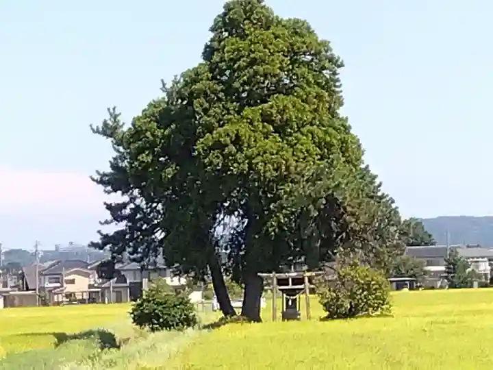 白鳥神社(富山県)