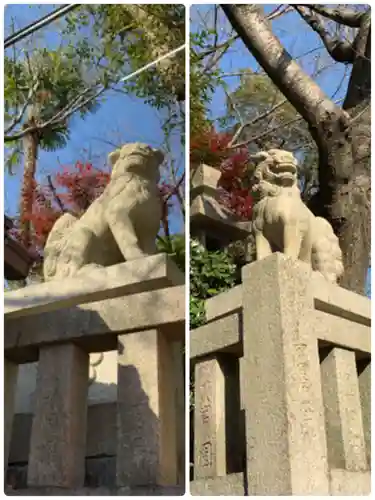 北野天満神社の狛犬