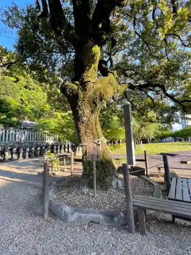 岐阜信長神社（橿森神社境内摂社）(岐阜県)
