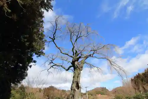 正観音堂の自然