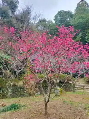 観心寺(大阪府)