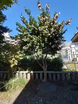 町田天満宮(東京都)