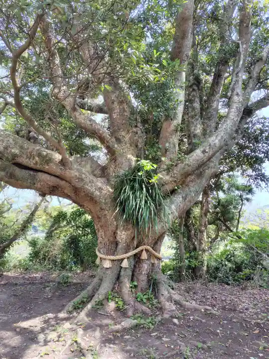 遠見岬神社(千葉県)