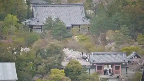 仁和寺の景色