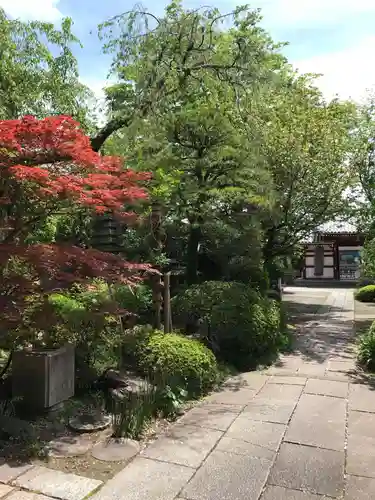 国土安穏寺の庭園