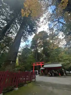 箱根神社(神奈川県)