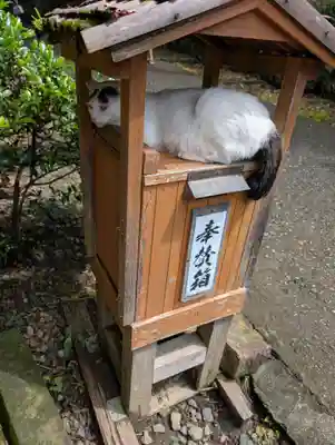 唐澤山神社(栃木県)