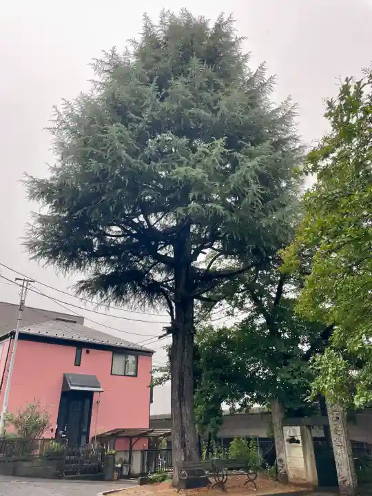 圓蔵寺(埼玉県)