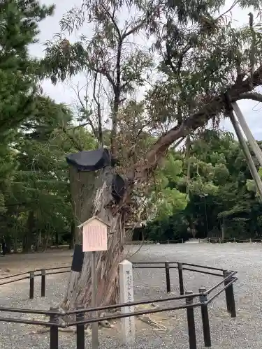 氣比神宮(福井県)