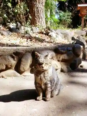 代々木八幡宮(東京都)
