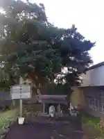 じゃらんぼ遺跡のその他建物