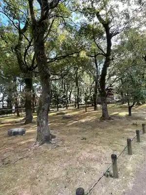 聖福寺(福岡県)