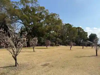 美奈宜神社(福岡県)