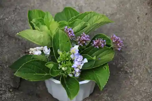 熊野福藏神社の手水舎