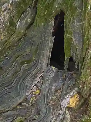 大神神社(奈良県)