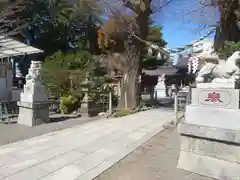 亀ケ池八幡宮(神奈川県)