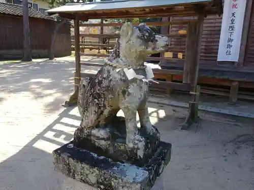 石清水神社の狛犬