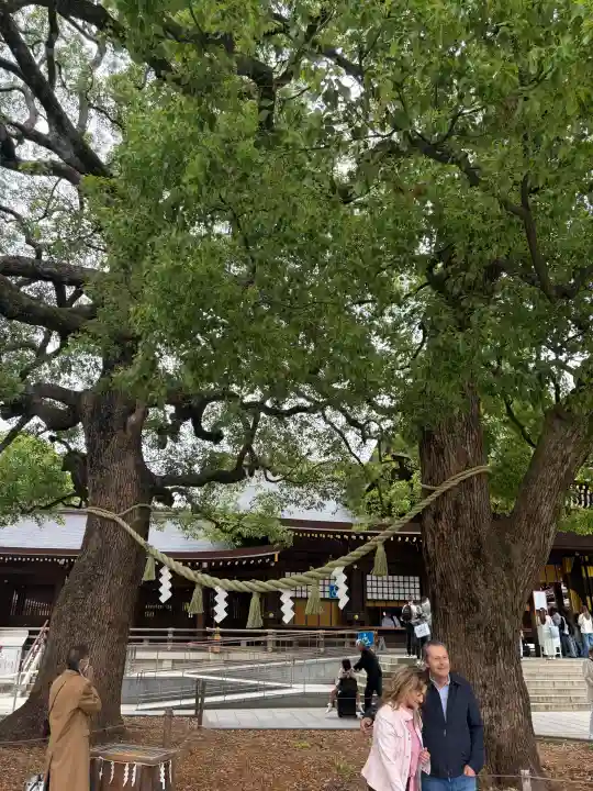 明治神宮の{uncategorized: "未分類", other: "その他", undefined: "問題あり", building: "その他建物", grave: "お墓", sacred_gate: "鳥居", guardian: "狛犬", statue: "像", buddha: "仏像", history: "歴史", nature: "自然", garden: "庭園", animal: "動物", pagoda: "塔", temizu: "手水舎", mountain_gate: "山門・神門", sanctuary: "本殿・本堂", subordinate: "末社・摂社", art: "芸術", scenery: "景色", jizo: "地蔵", ema: "絵馬", goshuin: "御朱印", omikuji: "おみくじ", items: "授与品その他", amulet: "お守り", goshuincho: "御朱印帳", eats: "食事", festival: "お祭り", votive_dance: "神楽", shichigosan: "七五三参", wedding: "結婚式", experience: "体験その他", initially: "初詣", around: "周辺", anti_infection: "感染症対策"}