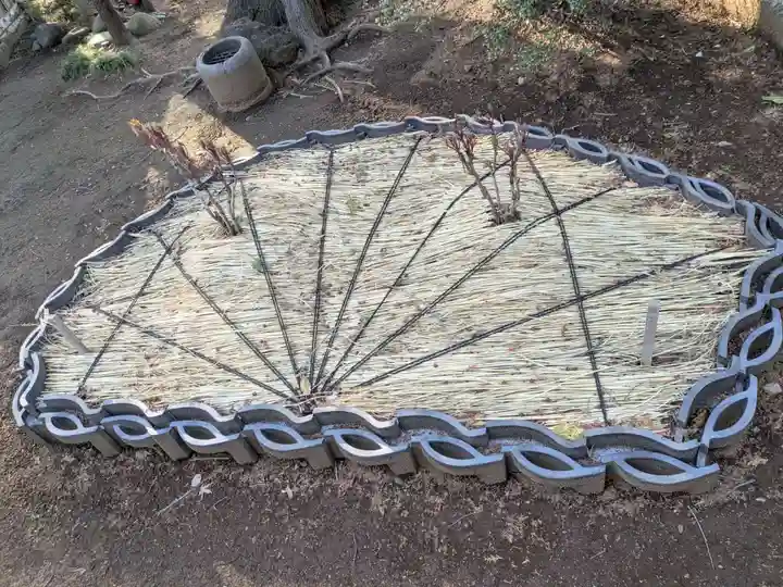 豪徳寺(東京都)