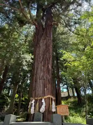 諏訪大社下社春宮(長野県)