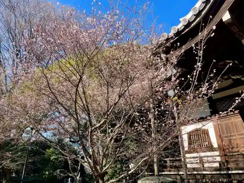 法明寺の{uncategorized: "未分類", other: "その他", undefined: "問題あり", building: "その他建物", grave: "お墓", sacred_gate: "鳥居", guardian: "狛犬", statue: "像", buddha: "仏像", history: "歴史", nature: "自然", garden: "庭園", animal: "動物", pagoda: "塔", temizu: "手水舎", mountain_gate: "山門・神門", sanctuary: "本殿・本堂", subordinate: "末社・摂社", art: "芸術", scenery: "景色", jizo: "地蔵", ema: "絵馬", goshuin: "御朱印", omikuji: "おみくじ", items: "授与品その他", amulet: "お守り", goshuincho: "御朱印帳", eats: "食事", festival: "お祭り", votive_dance: "神楽", shichigosan: "七五三参", wedding: "結婚式", experience: "体験その他", initially: "初詣", around: "周辺", anti_infection: "感染症対策"}
