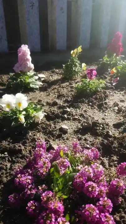 秋葉神社の自然