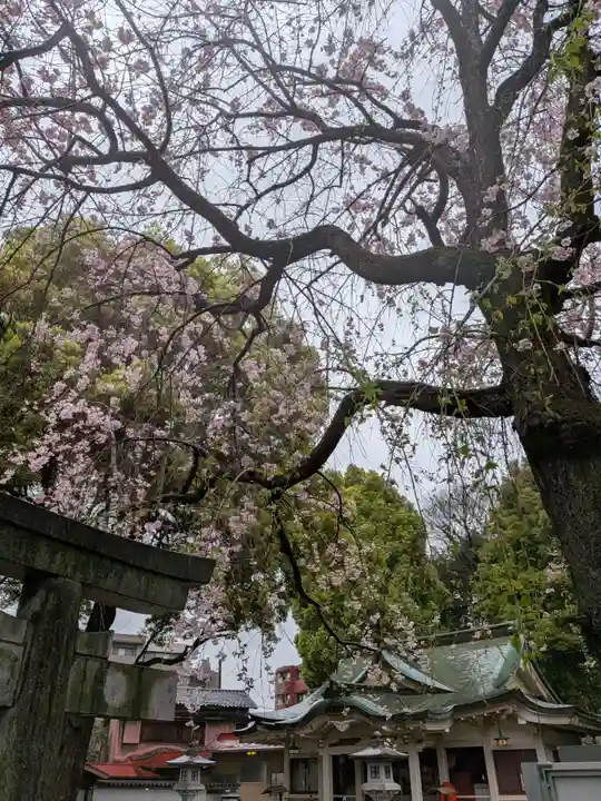 荻窪白山神社(東京都)