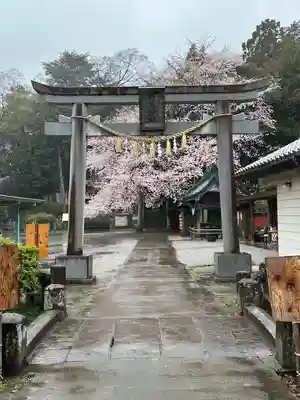 前玉神社(埼玉県)