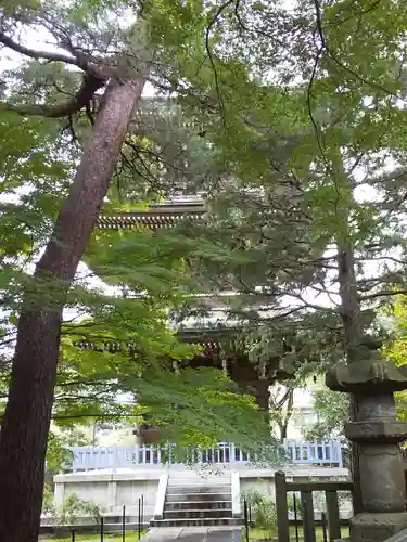 道場寺のその他建物